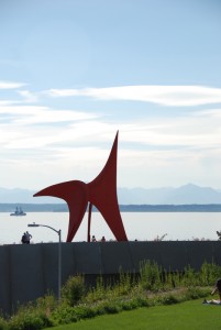dsc_1224
