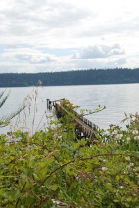 dsc_1313