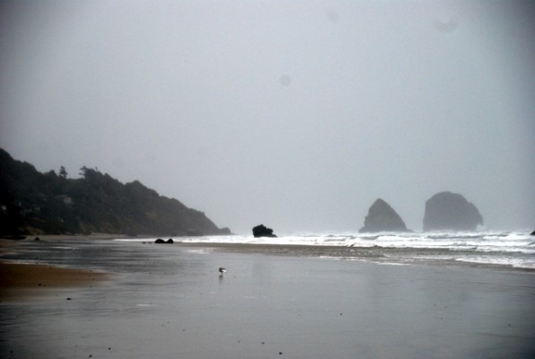 Beach Venture
